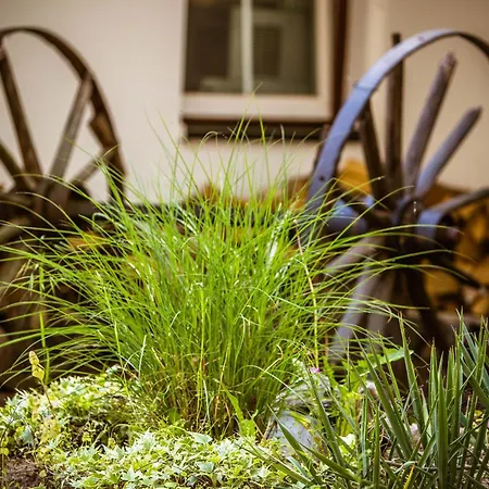 Seehotel Schorfheide 3*