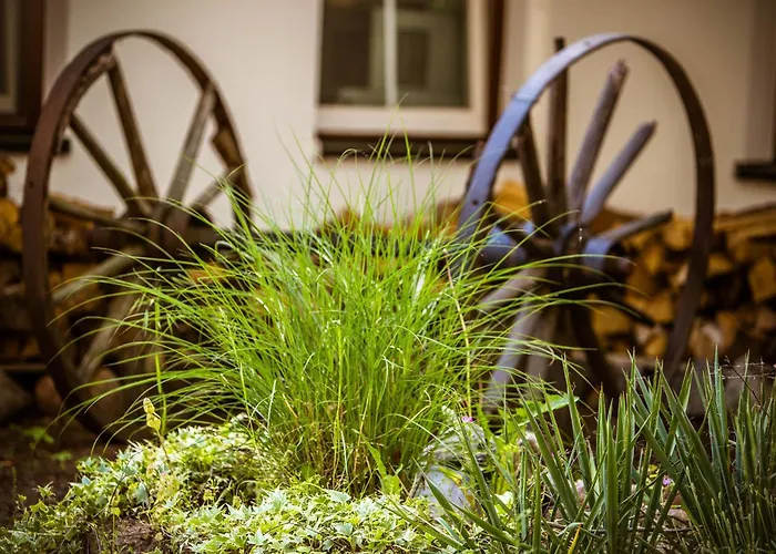 Seehotel Schorfheide 3*